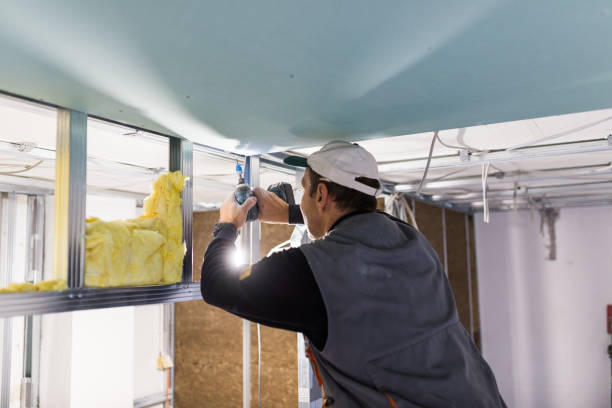 Best Affordable Insulation Services  in Rolling Fork, MS