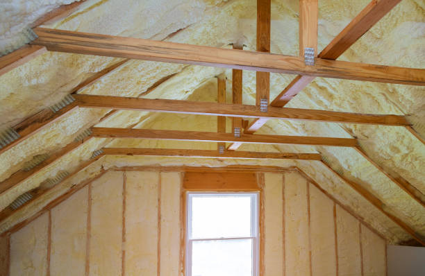 Best Cellulose Insulation  in Rolling Fork, MS