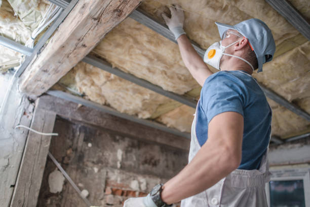 Best Insulation Replacement Services  in Rolling Fork, MS