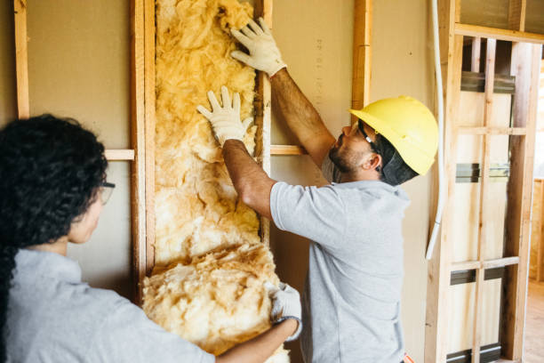 Best Wall Insulation Contractor  in Rolling Fork, MS