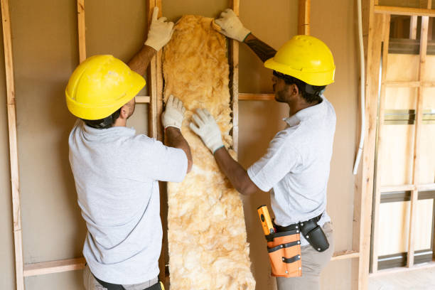 Best Insulation Inspection Services  in Rolling Fork, MS