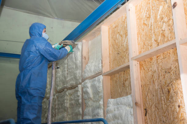 Best Energy-efficient Insulation  in Rolling Fork, MS